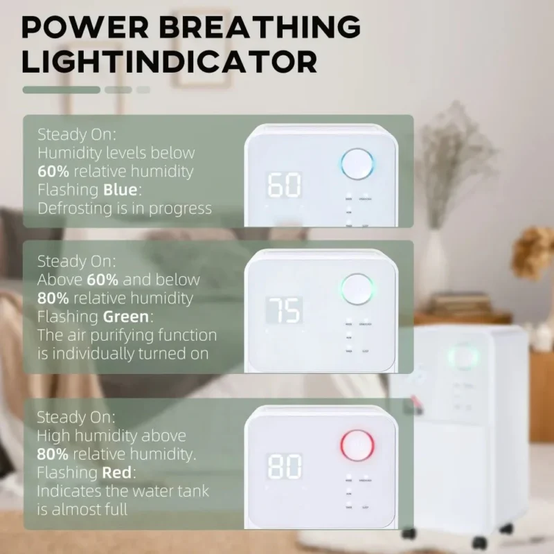 Dehumidifier – 16L/Day, 24H Timer | Fresh Home Moisture Removal - Image 13