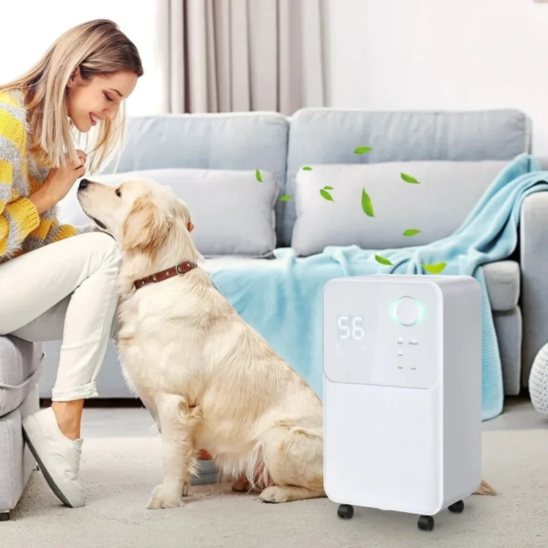 Dehumidifier – 16L/Day, 24H Timer | Fresh Home Moisture Removal - Image 4