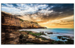SAMSUNG 50-Inch 4K UHD Display – Commercial-Grade with Intelligent Upscaling